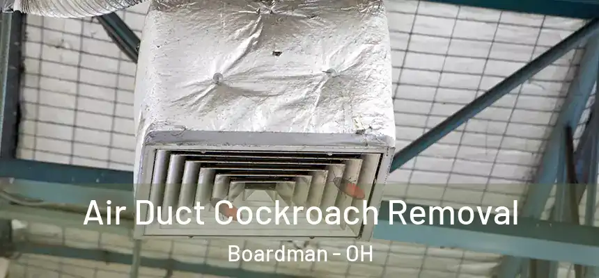  Air Duct Cockroach Removal Boardman - OH