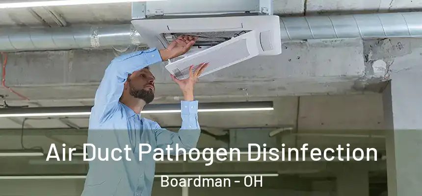 Air Duct Pathogen Disinfection Boardman - OH