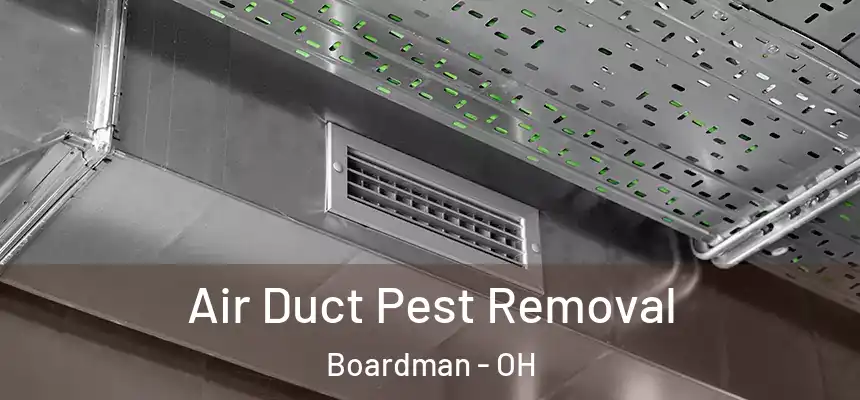  Air Duct Pest Removal Boardman - OH