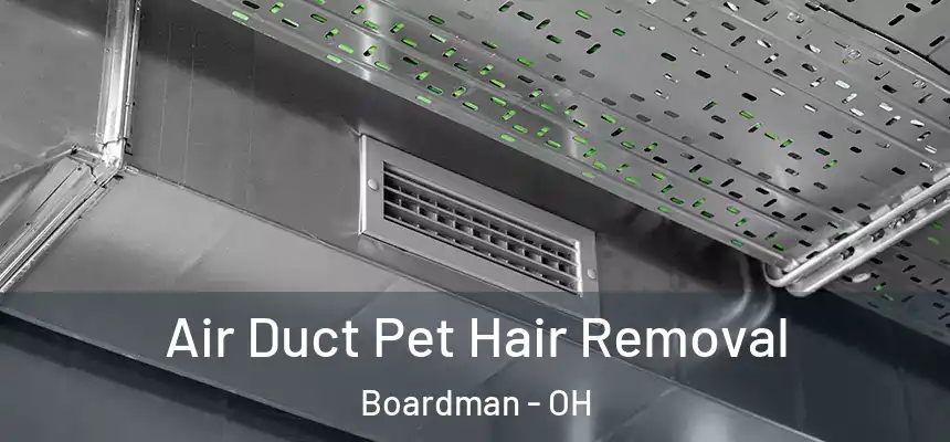 Air Duct Pet Hair Removal Boardman - OH