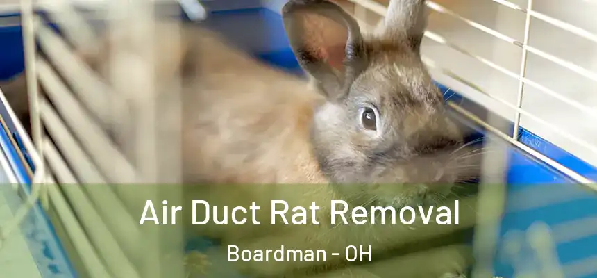  Air Duct Rat Removal Boardman - OH