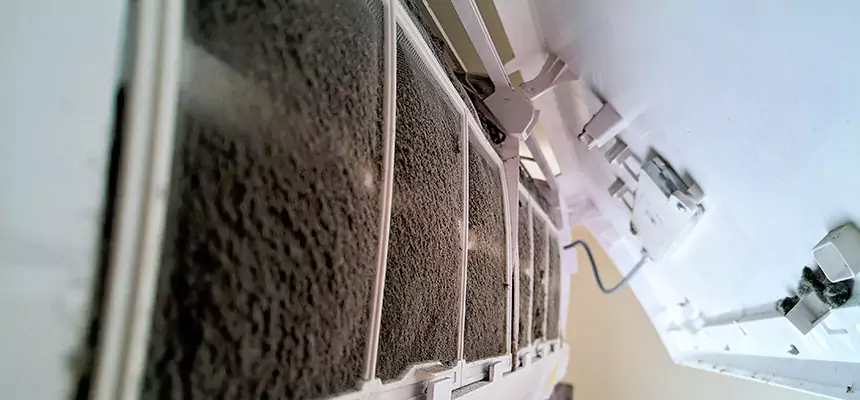 Preventive Air Duct Bacteria Removal in Boardman