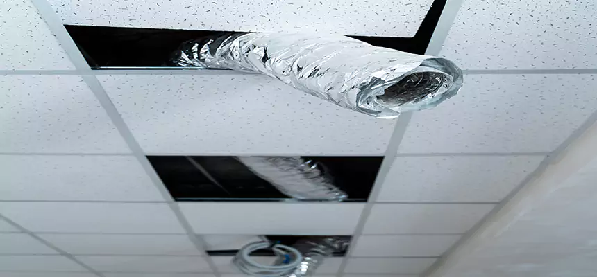 Affordable HVAC Sanitizing After Pest Removal in Boardman