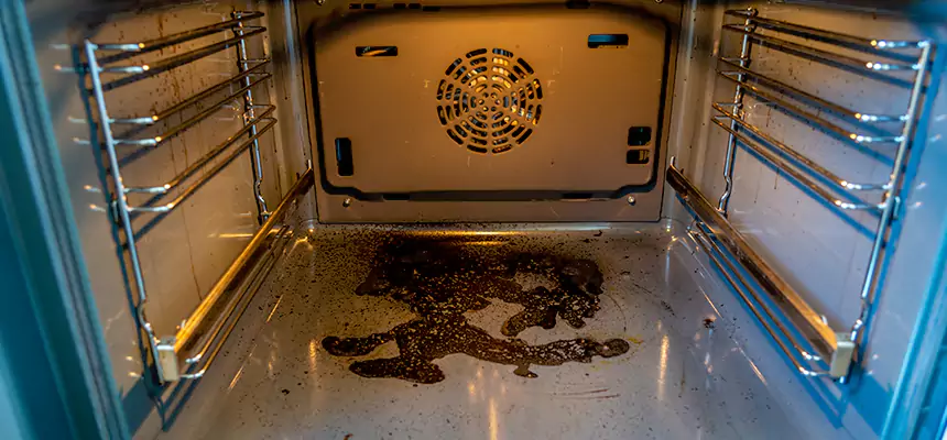 Our Dryer Vent Mold Cleaning Services in Boardman, OH