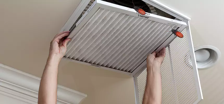Our Insect Removal from Air Ducts Services in Boardman, OH