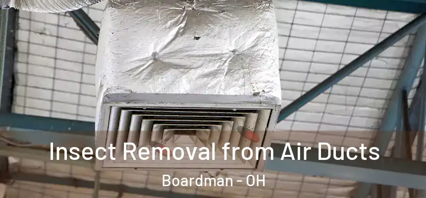  Insect Removal from Air Ducts Boardman - OH