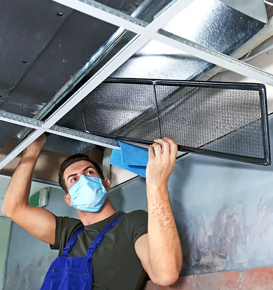 About Air Duct Bacteria Removal in Boardman
