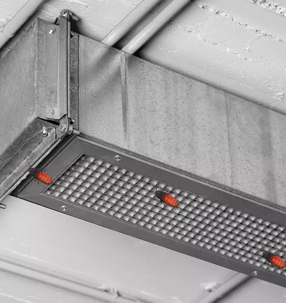 About Air Duct Cockroach Removal in Boardman, OH