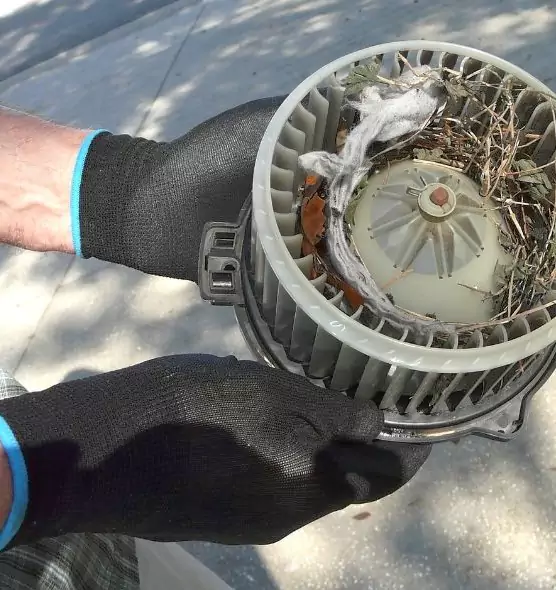 About Air Duct Mice Removal in Boardman, OH