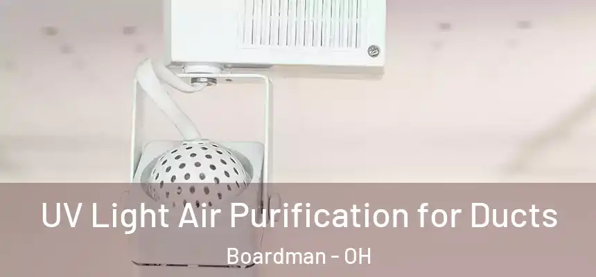  UV Light Air Purification for Ducts Boardman - OH